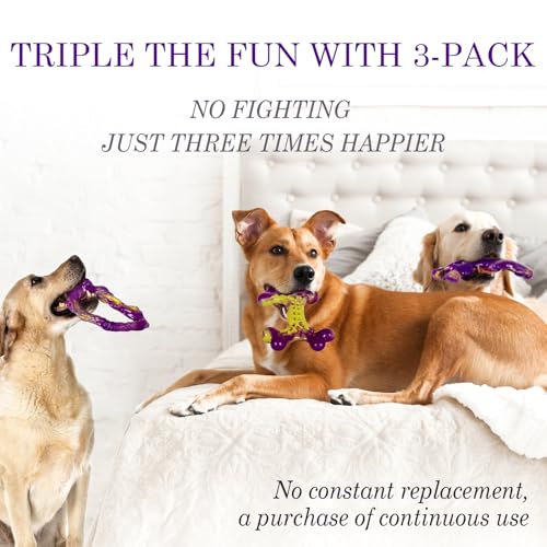 Tough Dog Toys for Aggressive Chewers 3 Pack (Purple-3-Pack)