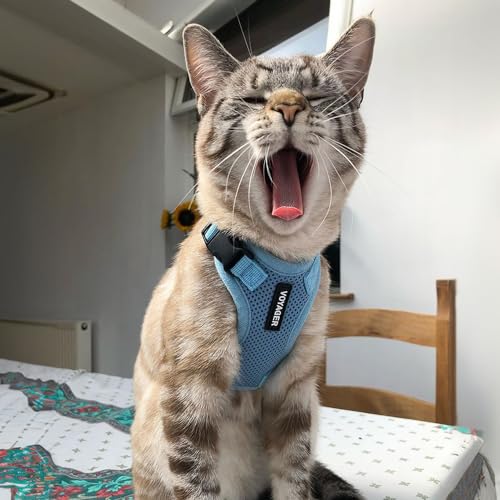 Voyager Step in Lock Cat Harness & Leash Set (Baby Blue / XS (Chest: 13 - 16"))