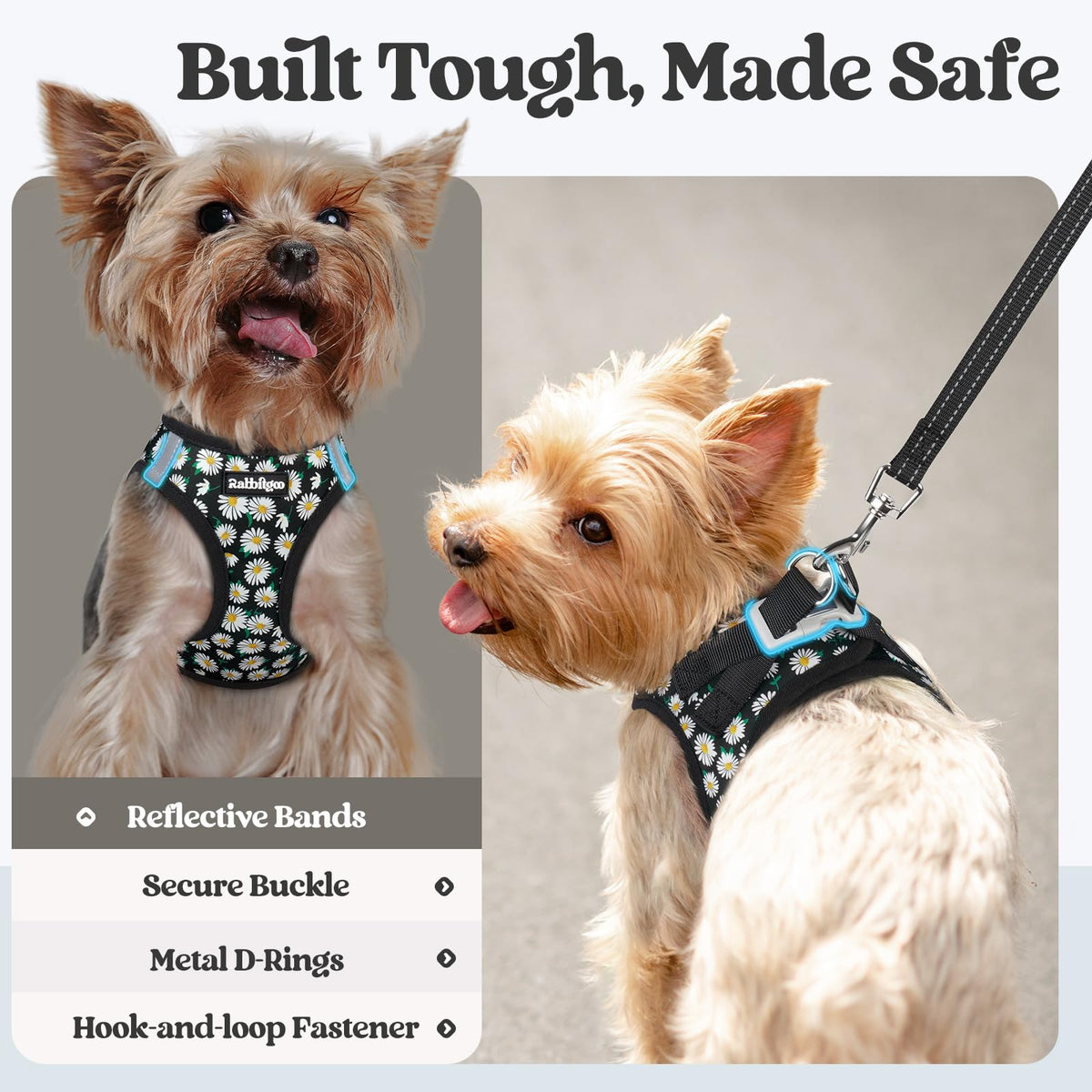 Dog Harness Small Sized and Leash Set (Midnight Daisy / Xs (chest: 13.3 - 15.5"))