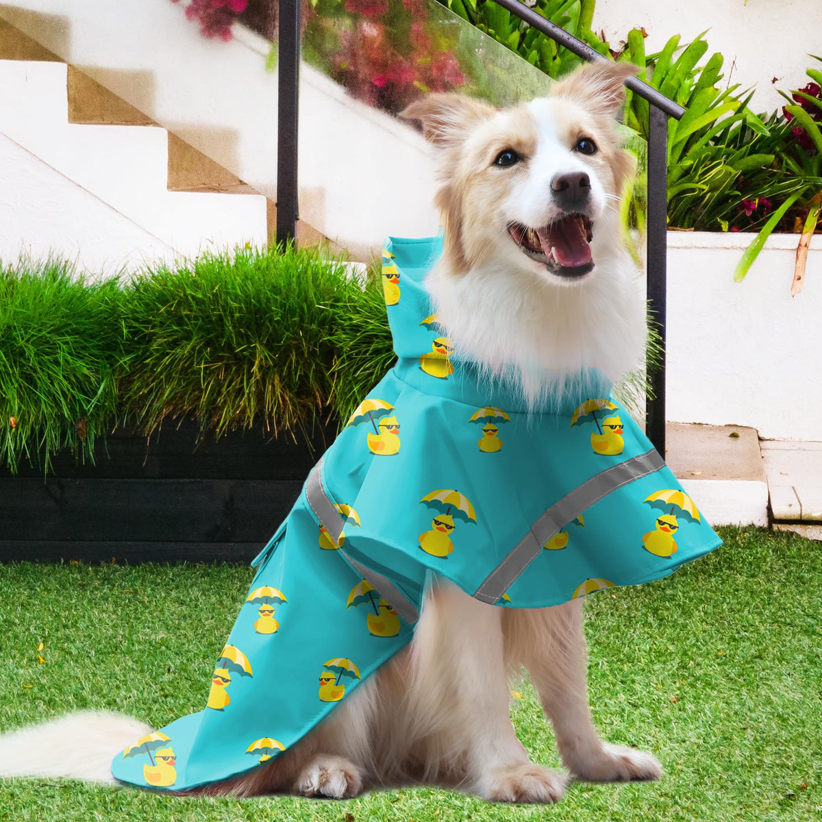 Large Dog Raincoat Adjustable (Lake Green / Medium (Pack of 1))