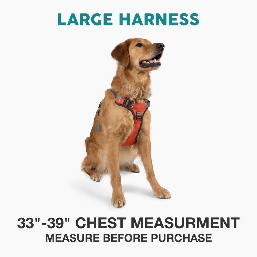 Embark No Pull Dog Harness (L / Orange)