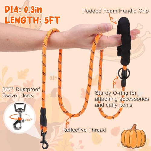 Small Dog Harness and Leash Set (Medium(Chest Girth 16" - 18") / Autumn)