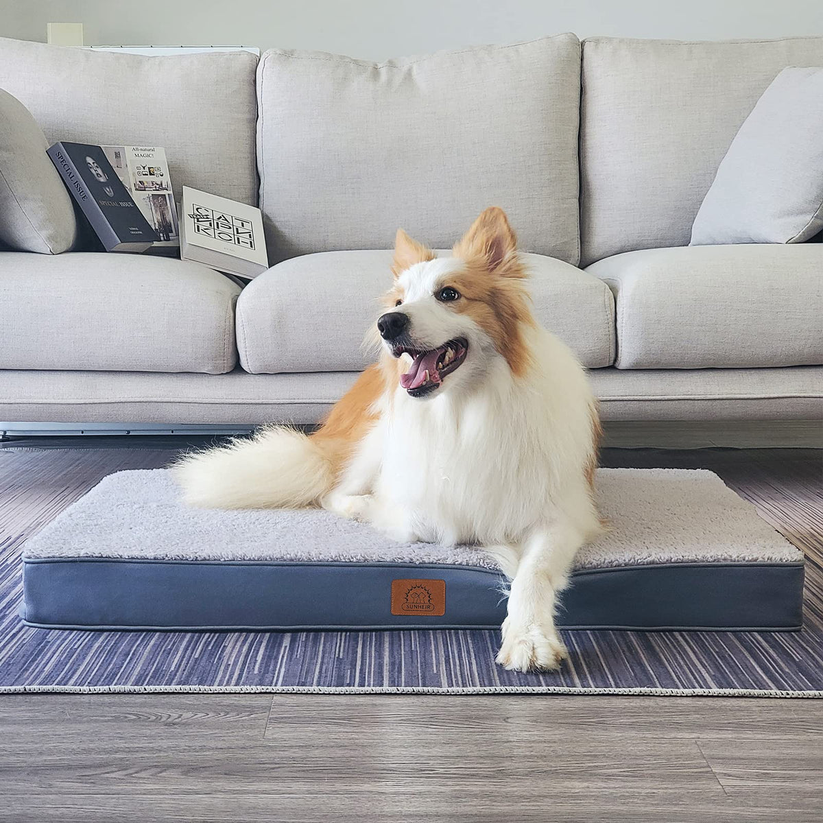 Jumbo Orthopedic Dog Bed (Grey / 54.0"L x 42.0"W x 4.0"Th)