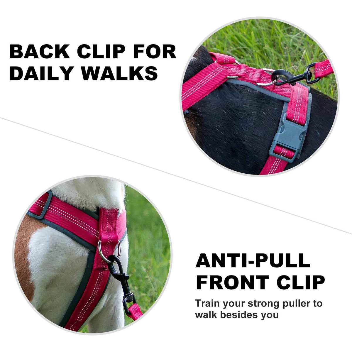 No Pull Dog Harness (XS / Hot Pink)