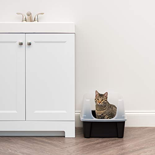 High Sided Cat Litter Box (Large / Black)