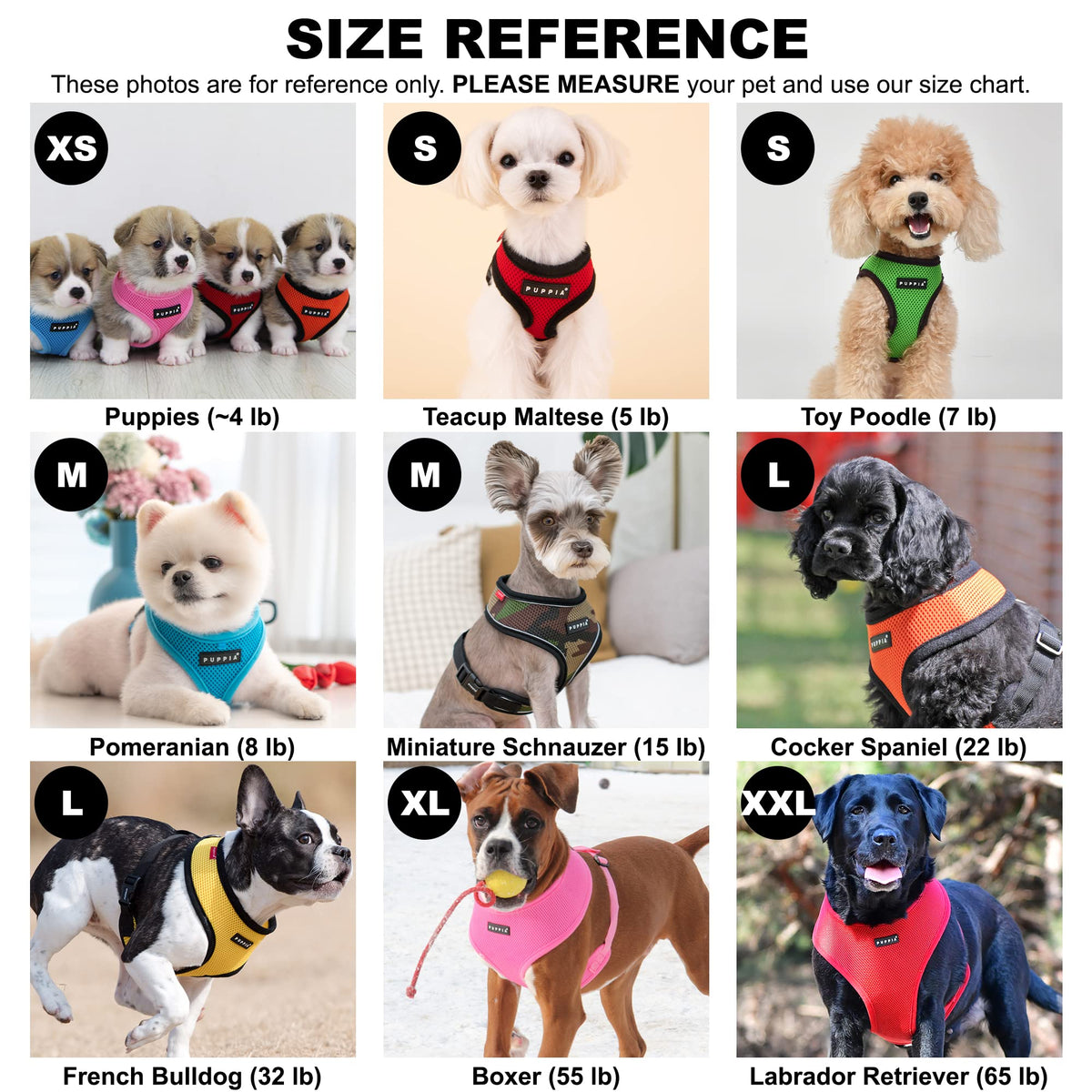 Soft Dog Harness No Choke Over (Sky Blue / Medium)