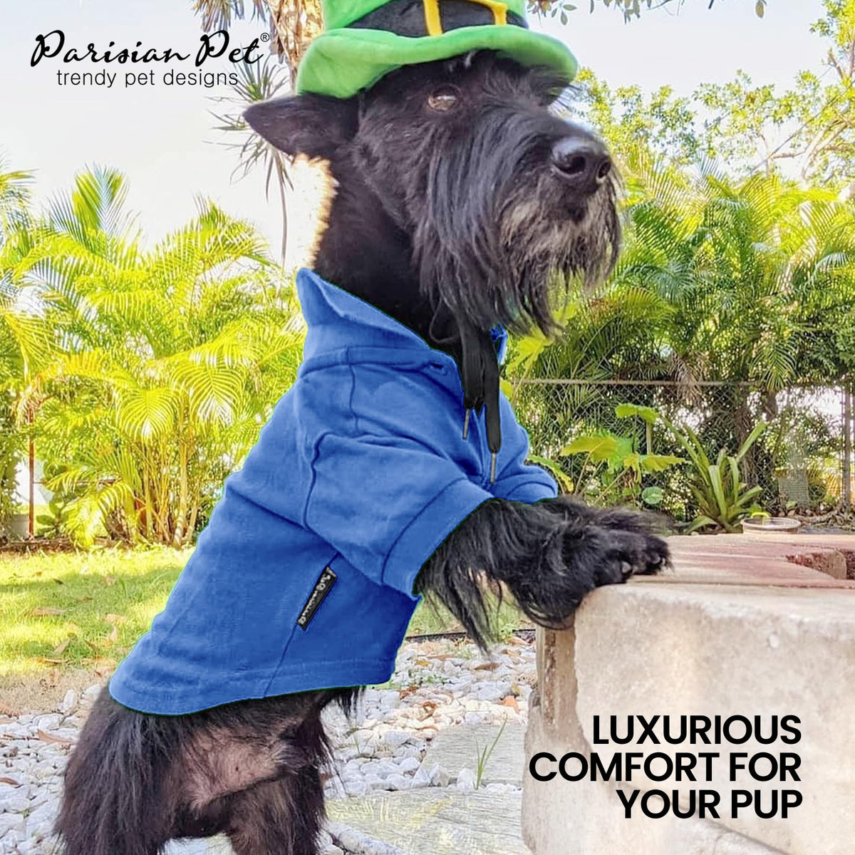 Dog Polo Shirt (M / Blue Polo)