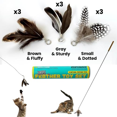 Forever Stick Cat Wand Toy with 9 Feather Refills (Forever Stick and 9 Feather Toys)