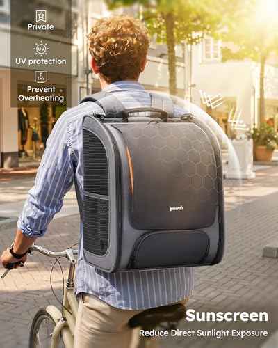 Cat Backpack Carrier (Gray-on-Gray Color Blocking / 12.6"L x 10.2"W x 16.5"H)