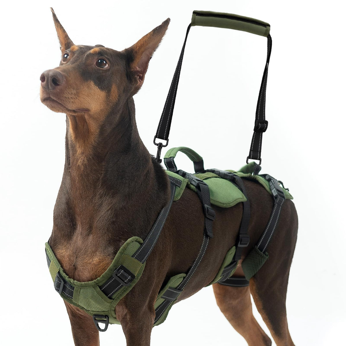 Dog Lift Harness for Large Dogs (Green / X-Large)