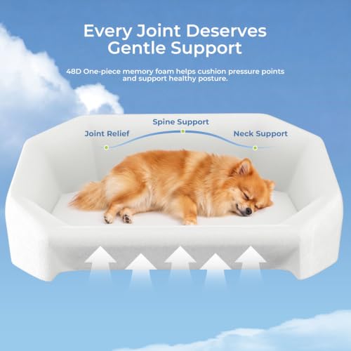 Dog Bed for Small Dogs with 3 Covers (Leather-Dark Gray-Light Gray / 30"L x 21.6"W x 10.44"Th)