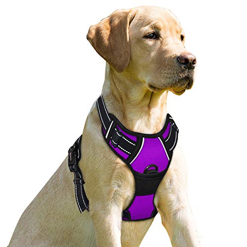 Dog Harness No Pull for Medium Sized Dog Front Back Clips (Medium(Chest:22.5-28") / Purple)