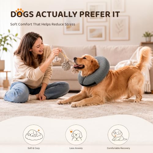 Inflatable Dog Cone After Surgery (Grey / XL(21"-24"))