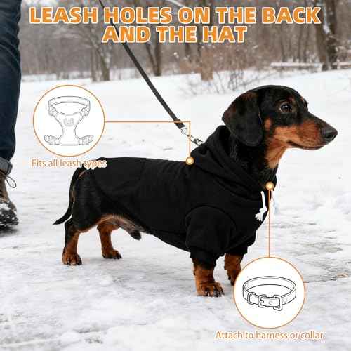 Dachshund Dog Hoodie (Dachshund Black / Small)