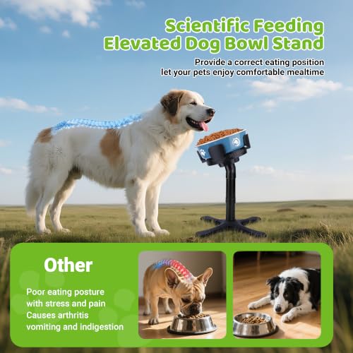Elevated Adjustable Dog Bowl Stand (Black)