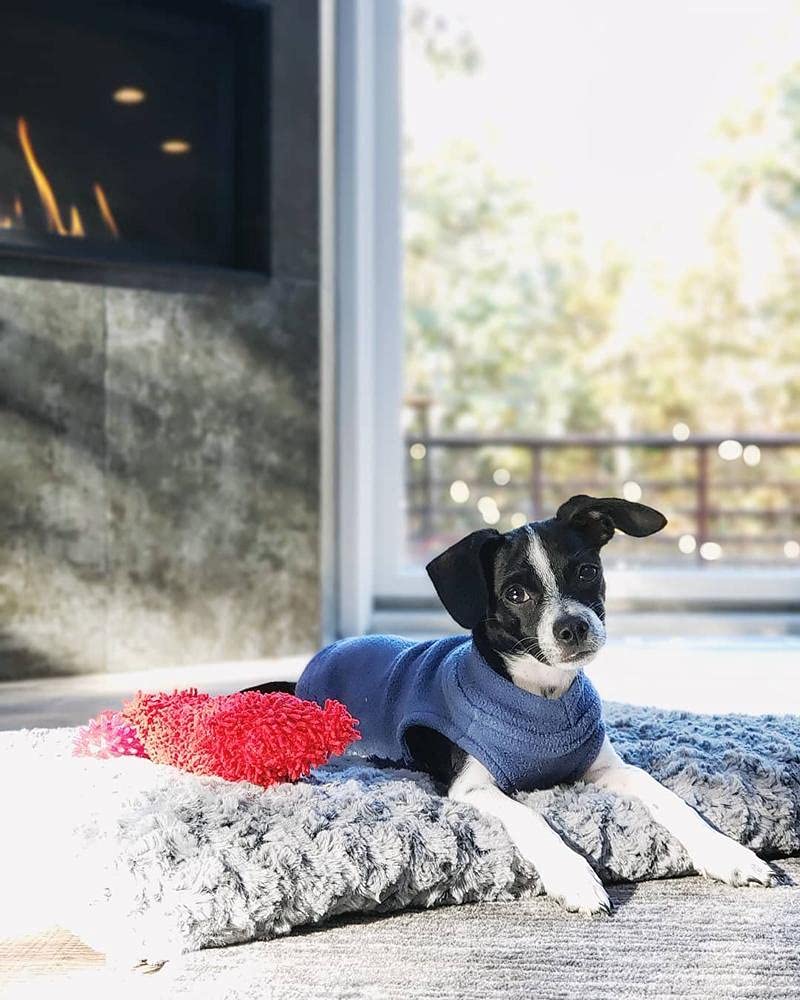 Stretch Fleece Vest Dog Sweater (X-Small Length (7") / Indigo Blue)