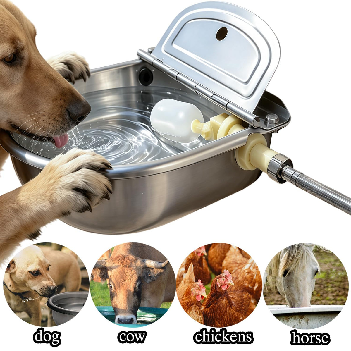 Automatic Water Dispenser for Dog Water Bowl Dispenser Large Size Stainless (Metallic Gray / Large)
