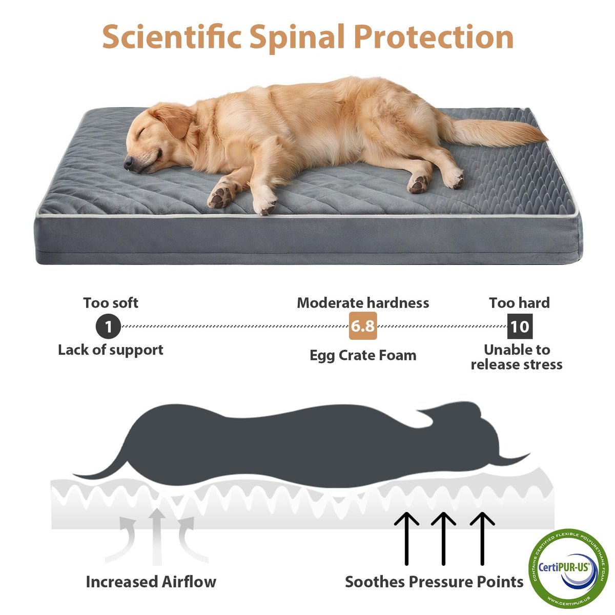 Orthopedic XXL Dog Beds for Large Senior Dog Bed Comfy Sleeping (Grey / 55"L x 42"W x 4"Th)