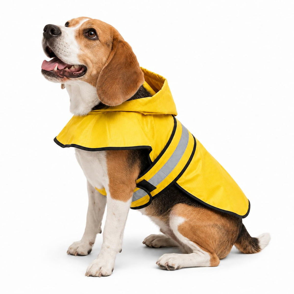 Dogg Toggs Raincoat (Yellow / Small)