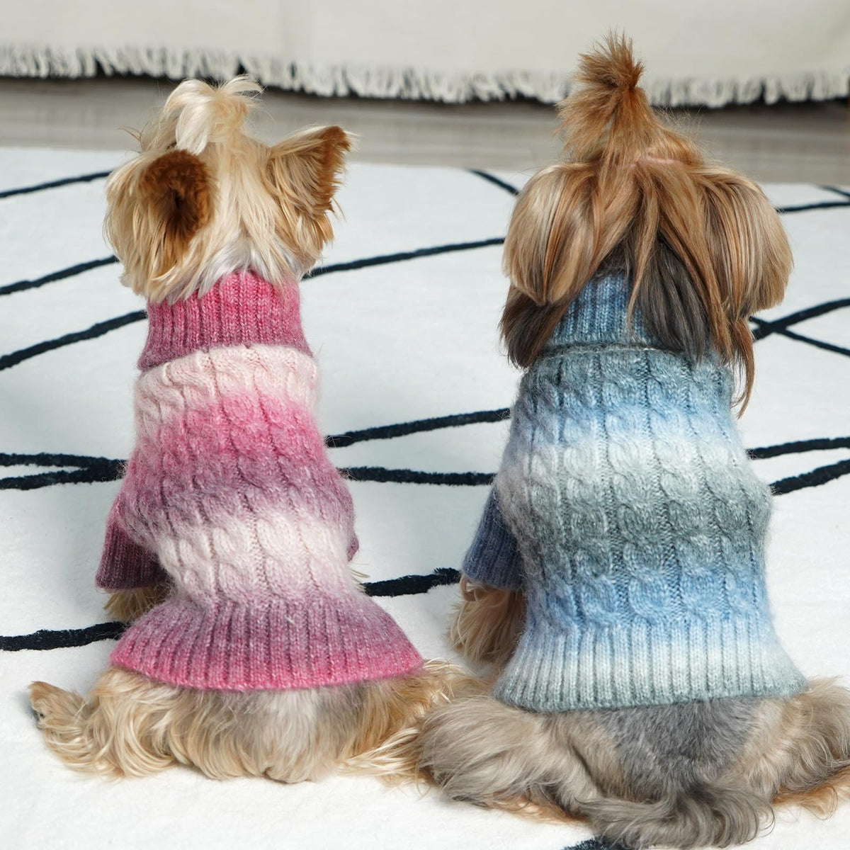 Color Block Dog Sweater for Small Dogs Turtleneck Thermal Knit (Large / 07# Blue)