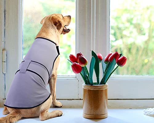 Dog Anxiety Jacket (Sky Blue / XXX-Large)