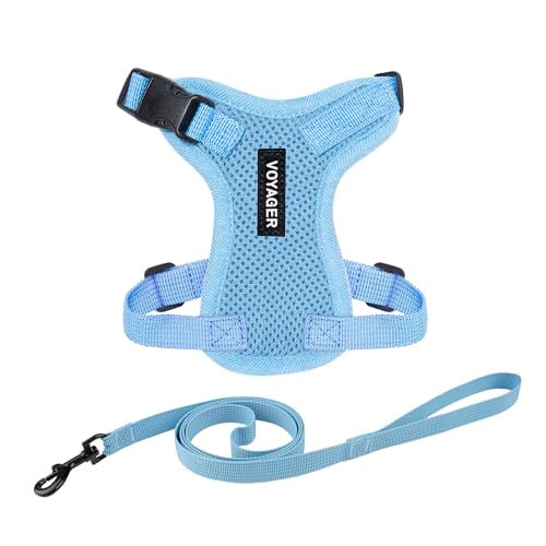 Voyager Step in Lock Cat Harness & Leash Set (Baby Blue / XXXS (Chest: 10.5 - 13"))