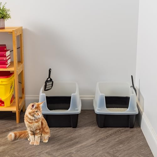 High Sided Cat Litter Box (Large - 2 Pack / Black)