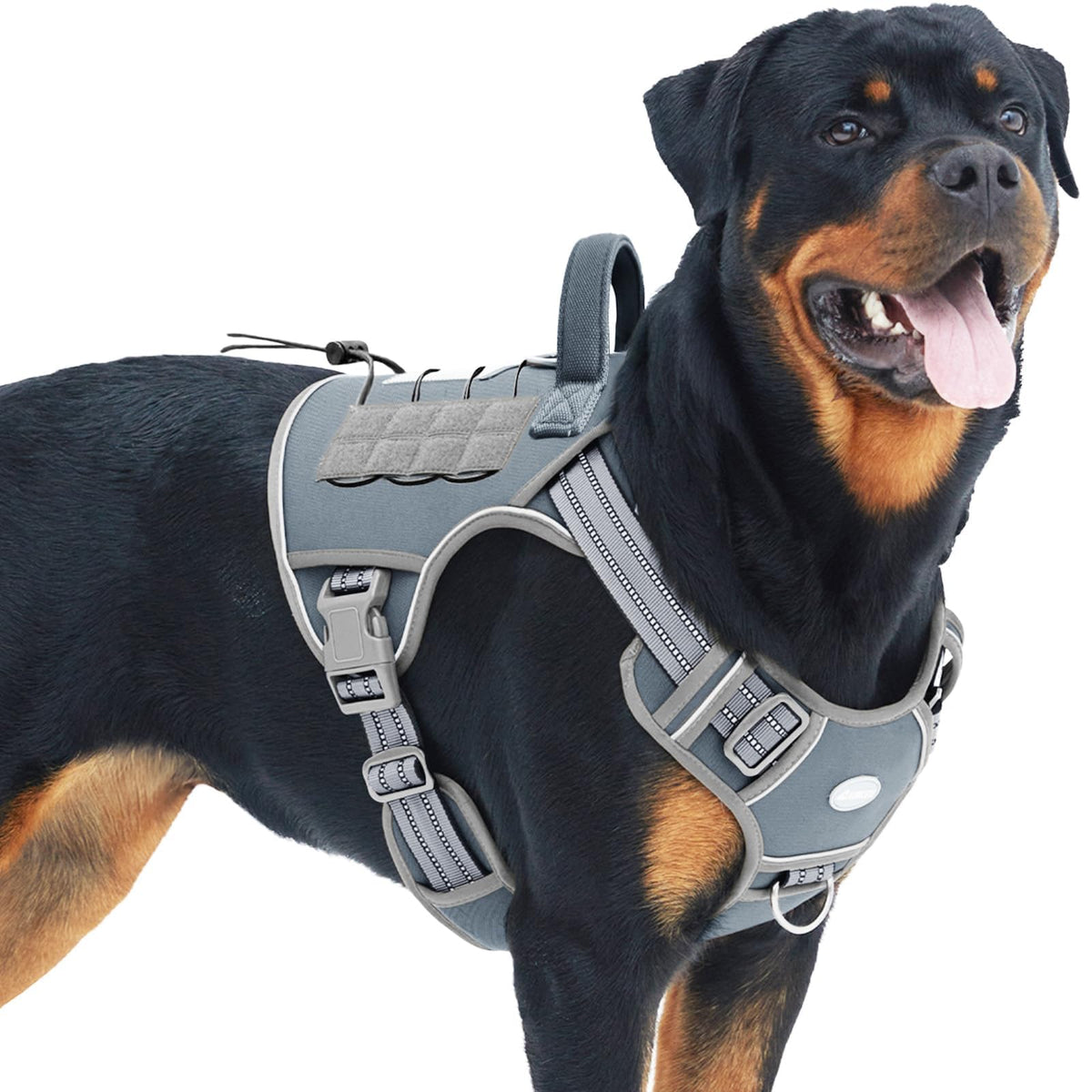 Dog Harness for Large Dogs (Grey / L(Neck:18-29",Chest:24-37"),45-80 lbs)