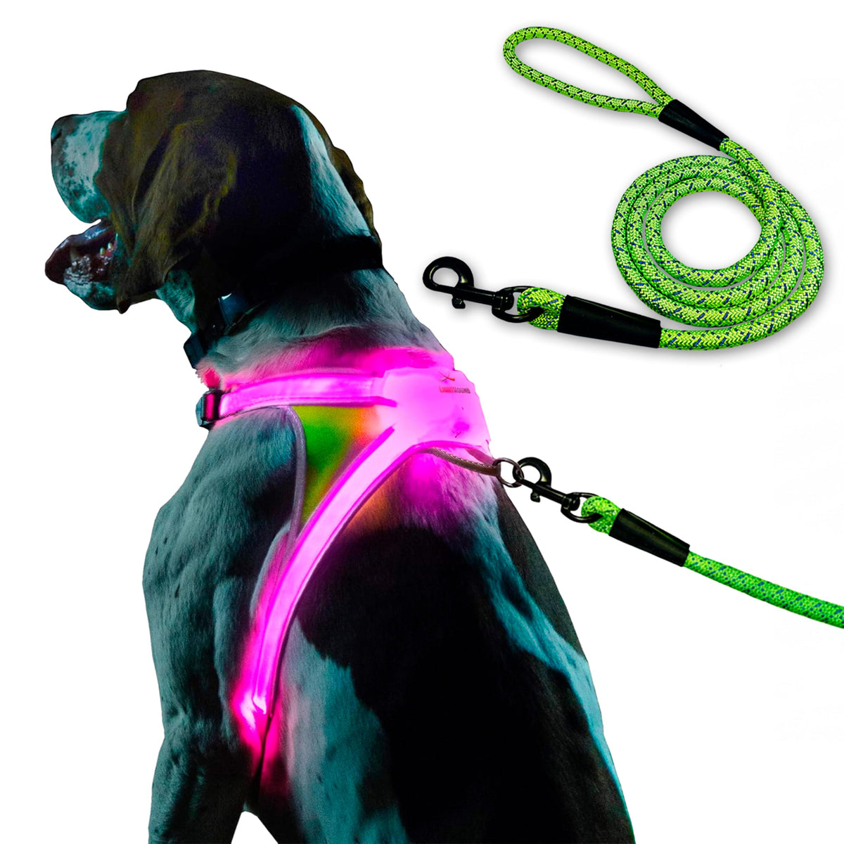 LightHound Light Up Reflective Dog Harness and Leash (Large)