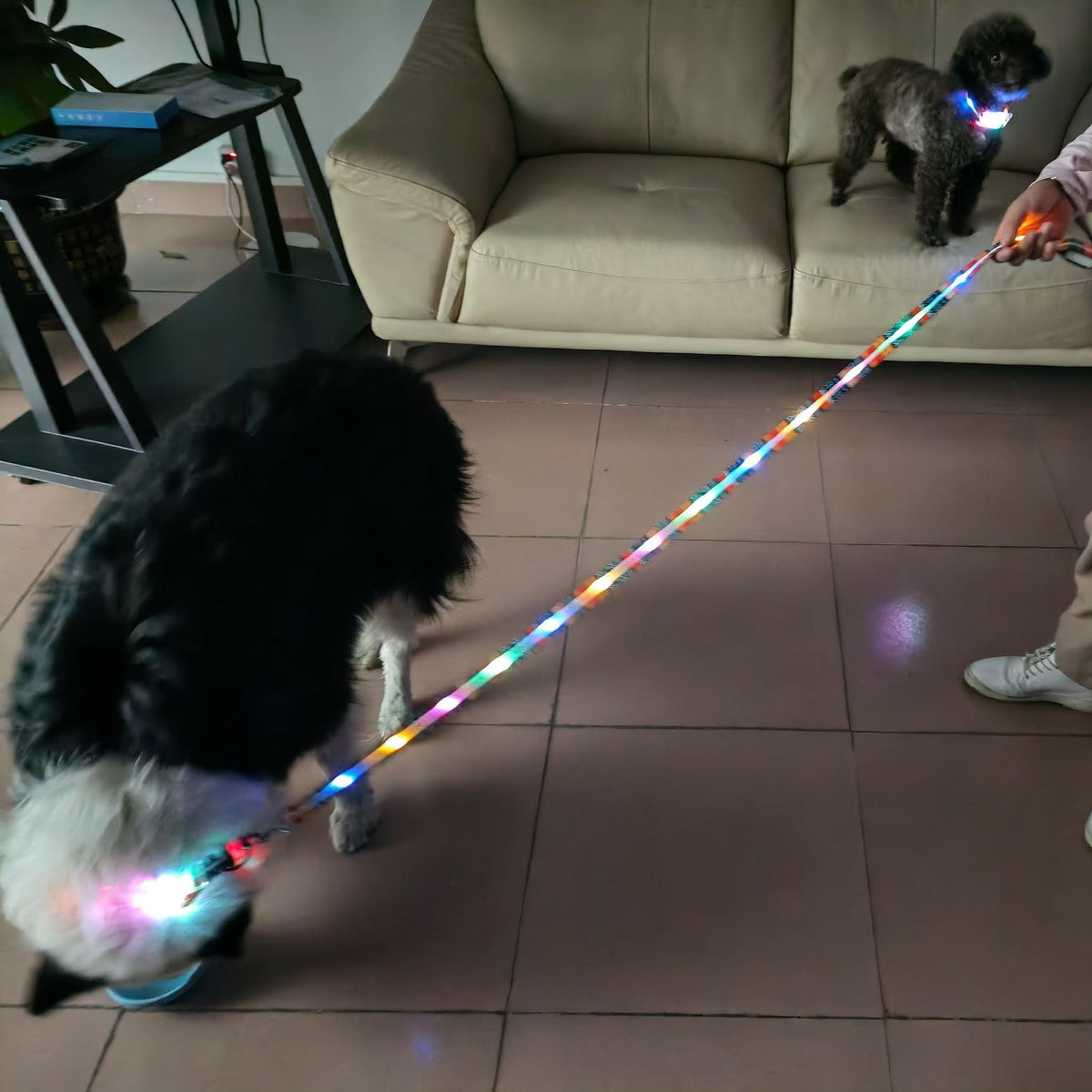 Light Up Dog Leash USB Rechargeable for Small Medium Large Dogs (Bohemian Orange / L59in/W1in)