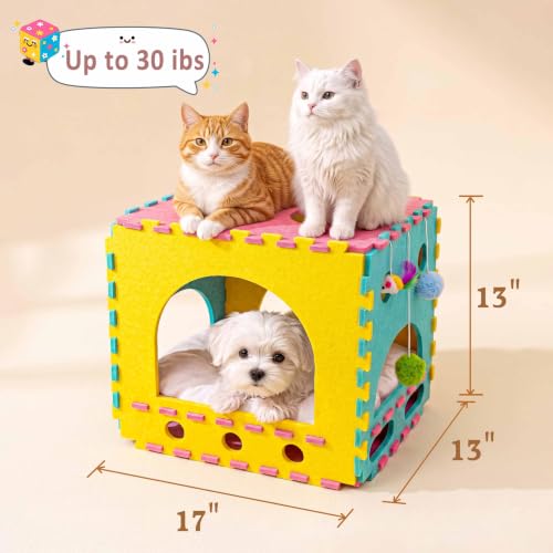 41 Pcs Interactive Cat Toys with Cat Puzzle Box (Modern (with puzzle box))