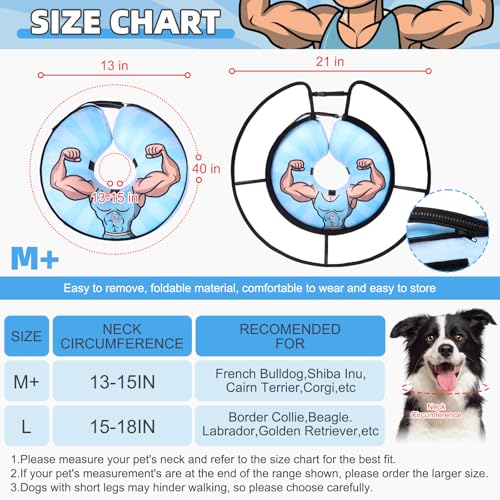 Inflatable Dog Cone Collar Alternative After Surgery (Hercules, with a transparent border / M+ (Neck:13-15in))