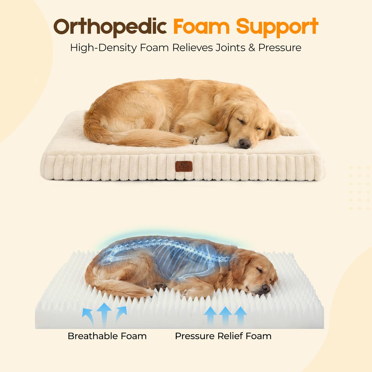 Orthopedic Dog Bed for Large Dog (Cream / 35"x22"x3")