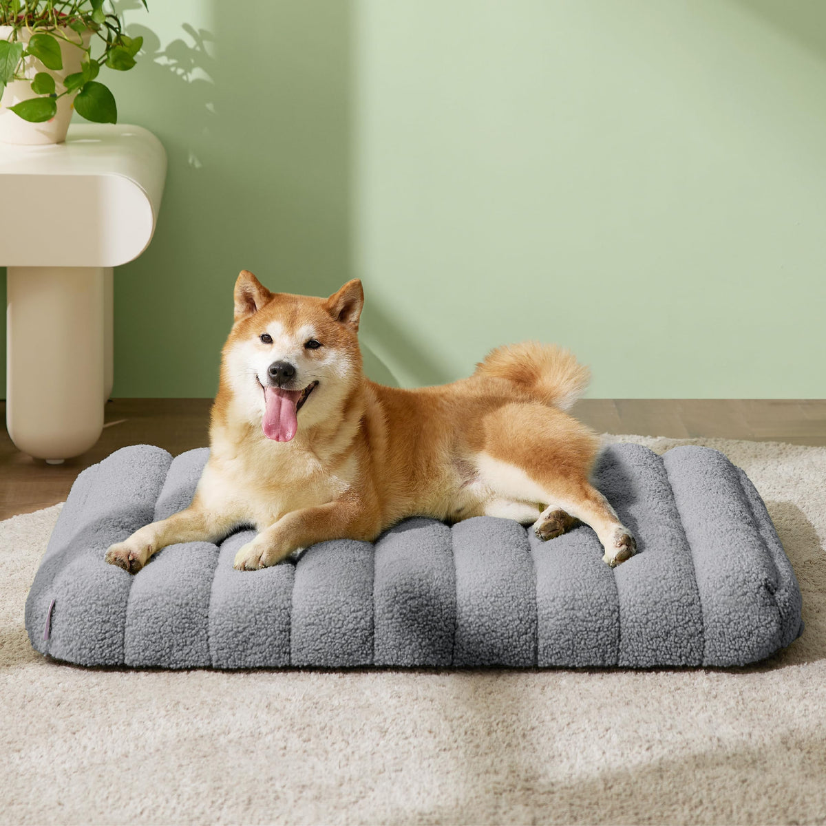 Cute Orthopedic Dog Bed Medium Size Dog (30"L x 20"W x 4"Th / Grey)