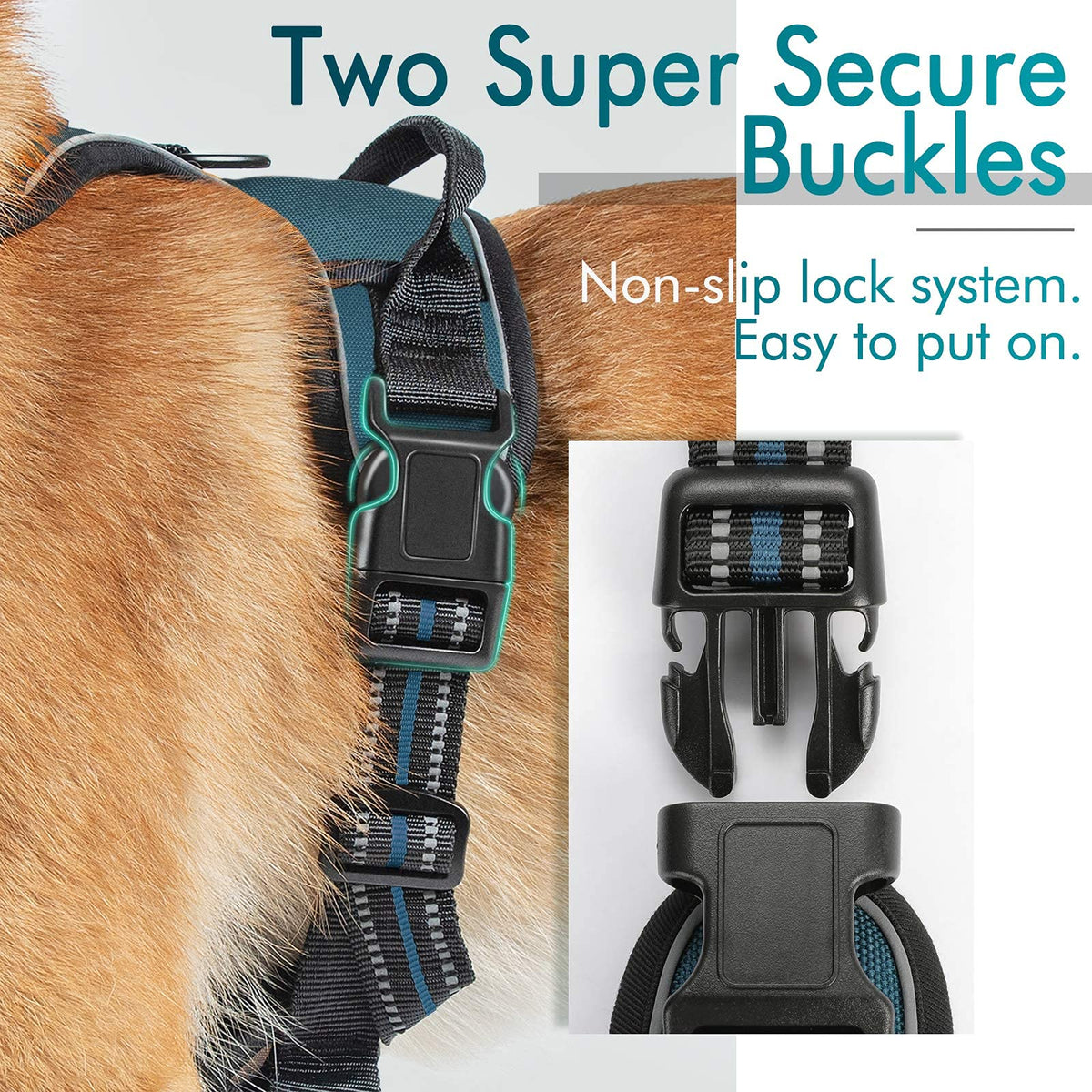 Dog Harness No Pull for Small Dogs with 2 Leash Clips (Small / Blue Coral)