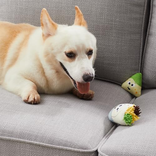Hide A Taco Plush Dog Toy Puzzle