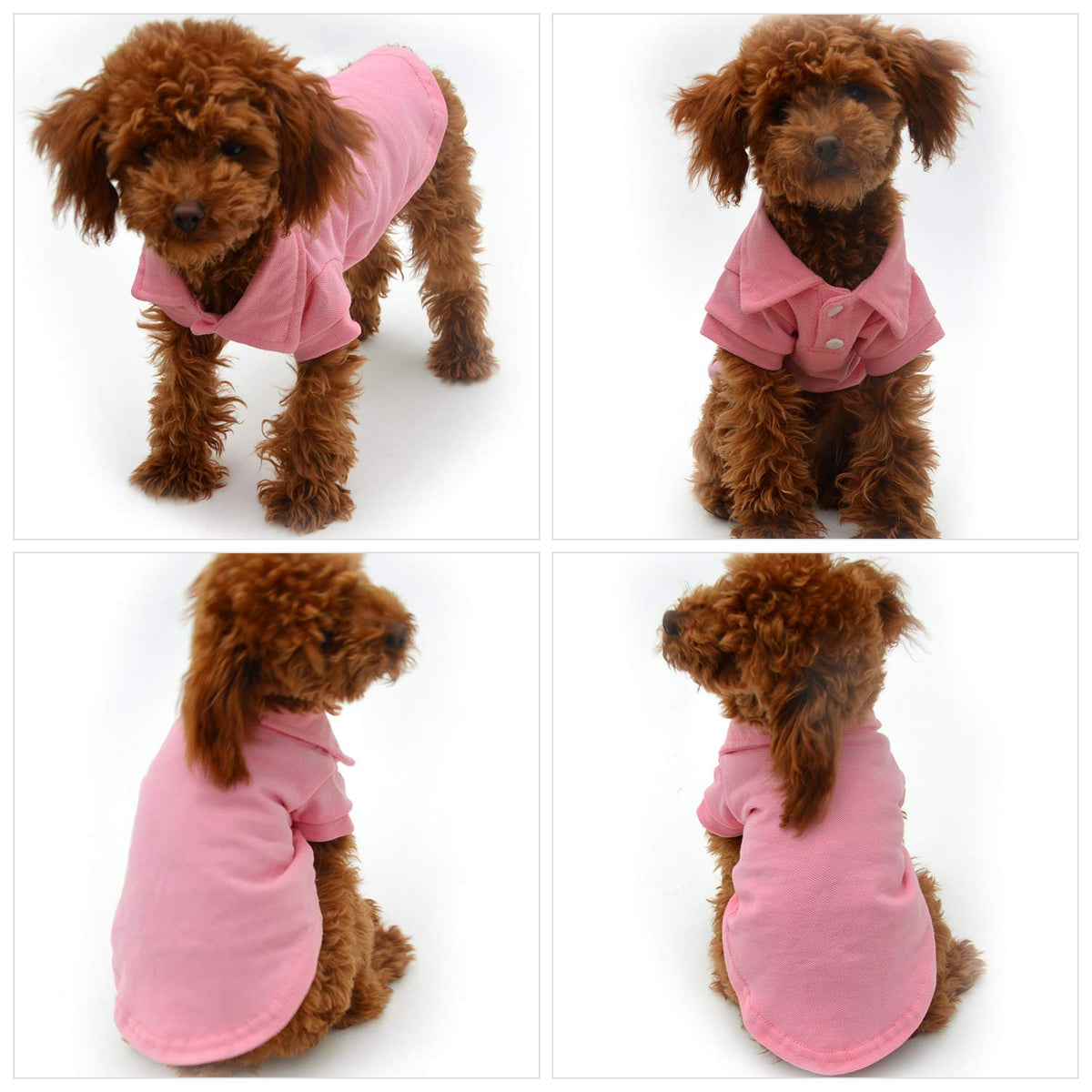 Basic Dog Polo Shirts Premium Cotton (M (-12lbs) / Pink)
