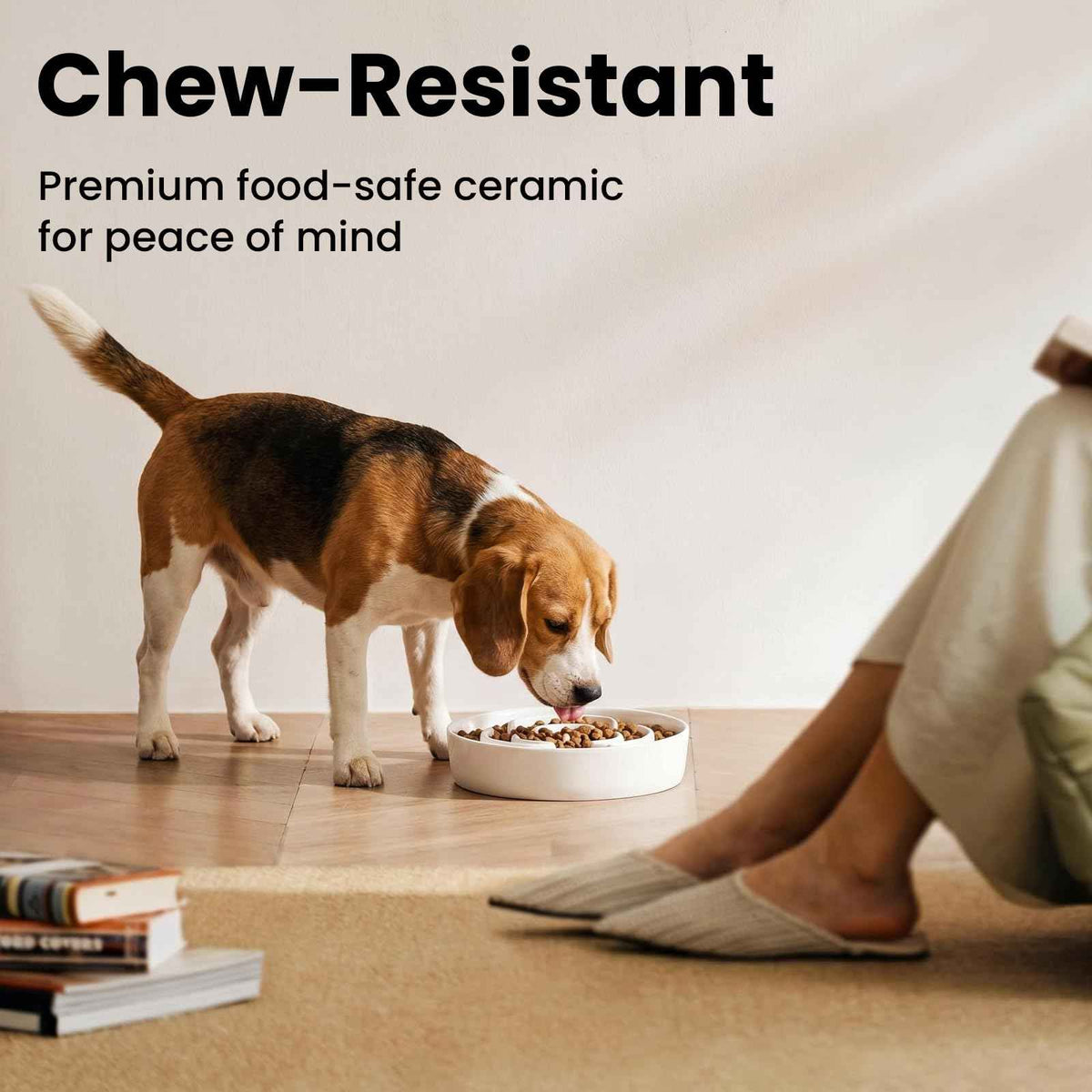 Ceramic Slow Feeder Dog Bowls 1.5 Cups for Medium & Small Fast Eaters (White / M - 1.5 Cup)
