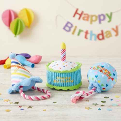 Squeaky Hide and Seek Dog Toys for Small and Medium Dogs (Birthday Set)
