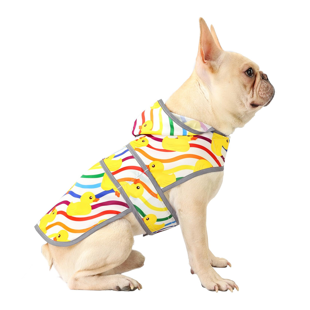 Dog Raincoat for Medium Dogs Waterproof Jacket Hooded Rain Coats with Reflective Strips Leash Hole & Poncho Adjustable Fit (Rainbow Ducks / Medium)