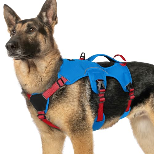 Escape Proof Dog Harness for X (Red & Blue / X-Large)