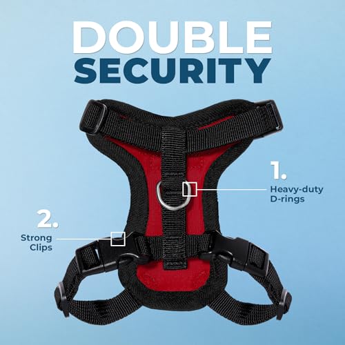 Voyager Step in Lock Cat Harness & Leash Set (Red/Black Trim / XXS (Chest: 11.5 - 14"))