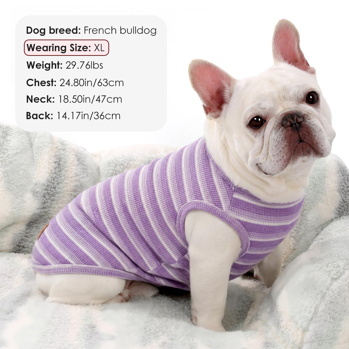 2Pack Dog Shirts Lightweight Waffle Dog Shirt for Small Dogs Sleeveless Dog Shirt for Small Medium Boy Girl Dogs Cozy & Breathable Pet Vest (XS(Back: 9.8", Chest: 13.8", 3.3-5.5lbs) / Striped+Deep Purple)