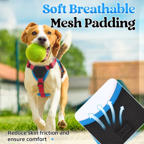 Escape Proof Dog Harness for Small (Red & Blue / Small)