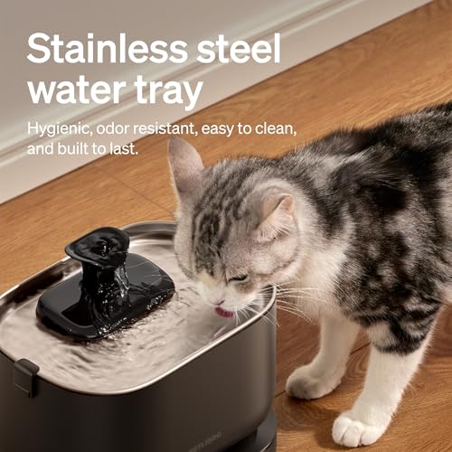 Cat Water Fountain (Black / Cordless fountain)