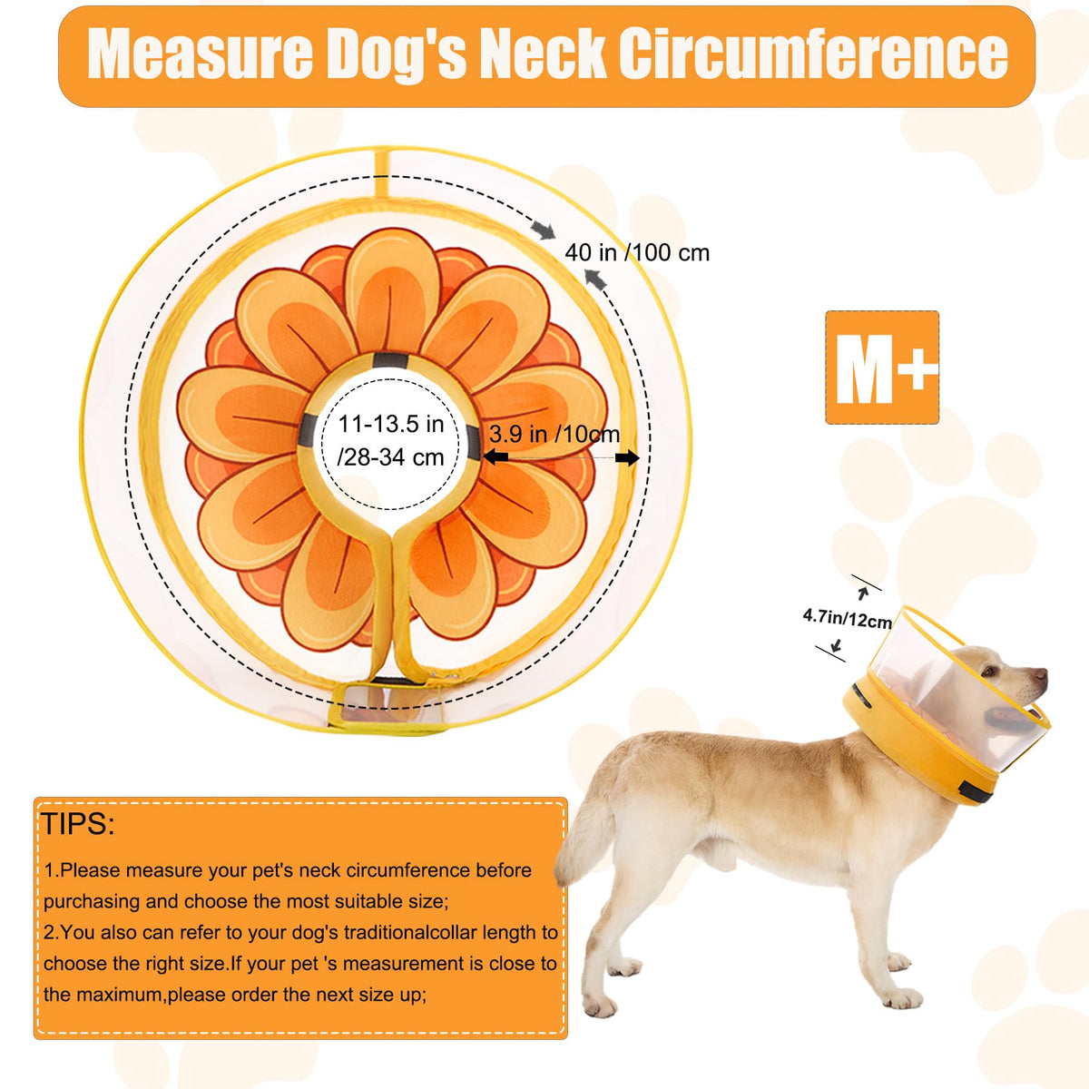 Inflatable Dog Cone Collar with Enhanced Anti (Medium+ / Yellow Flower)