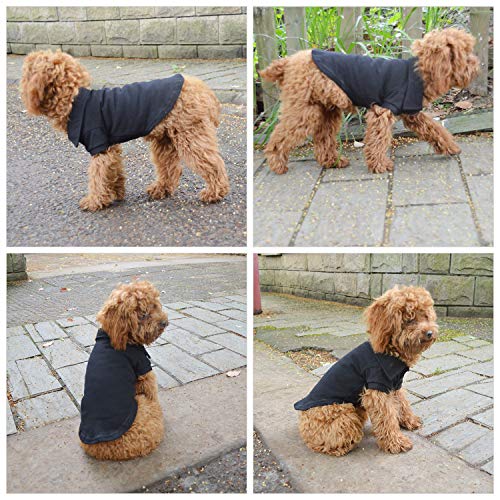 Basic Dog Polo Shirts Premium Cotton (M (-12lbs) / Black)