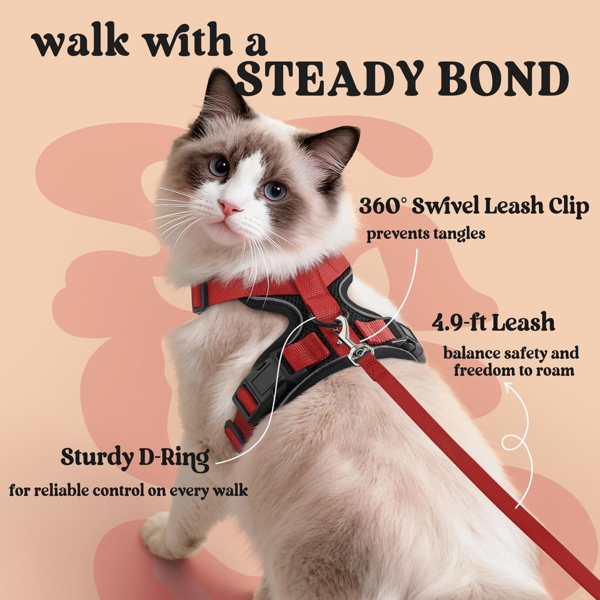 Cat Harness and Leash Set (Xs / Black & Red)