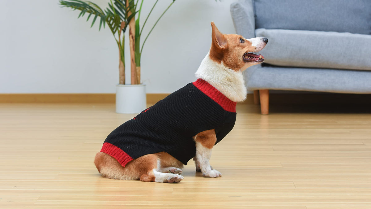 for Pets Darth Vader Dog Sweater (Darth Vader / Medium)