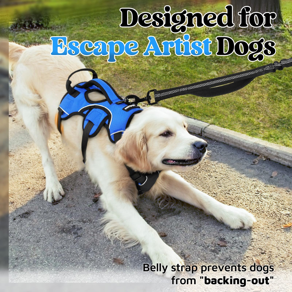 Escape Proof Dog Harness for X (Blue / X-Large)
